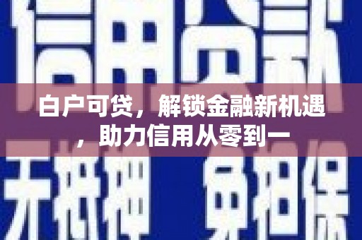 大武白户可贷，解锁金融新机遇，助力信用从零到一