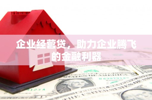 大武企业经营贷，助力企业腾飞的金融利器