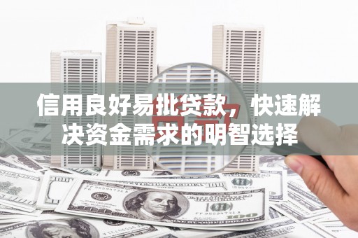 大武信用良好易批贷款，快速解决资金需求的明智选择