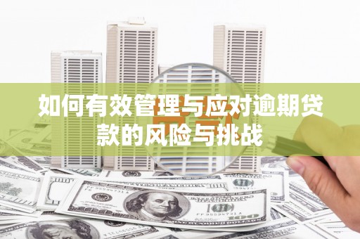 大武如何有效管理与应对逾期贷款的风险与挑战