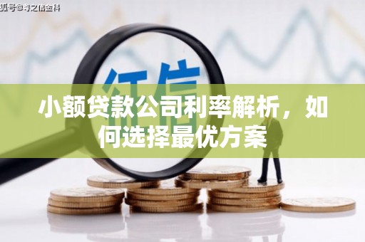 大武小额贷款公司利率解析，如何选择最优方案