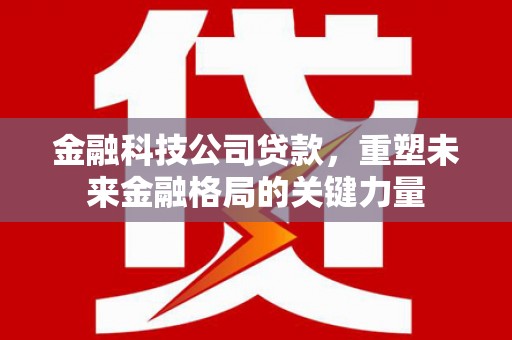 大武金融科技公司贷款，重塑未来金融格局的关键力量
