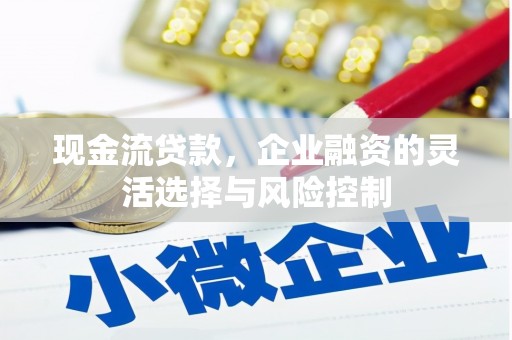 大武现金流贷款，企业融资的灵活选择与风险控制
