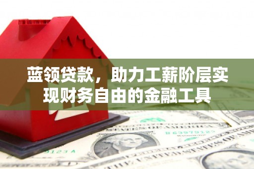 大武蓝领贷款，助力工薪阶层实现财务自由的金融工具