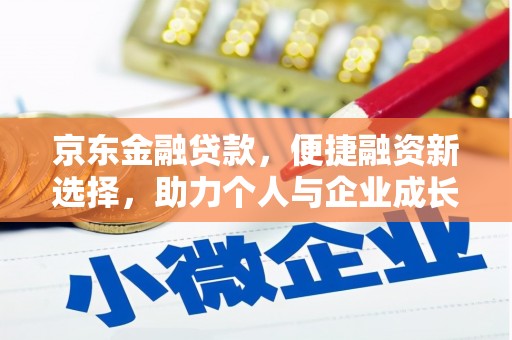 大武京东金融贷款，便捷融资新选择，助力个人与企业成长