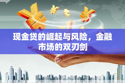 大武现金贷的崛起与风险，金融市场的双刃剑