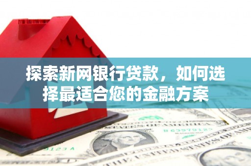 大武探索新网银行贷款，如何选择最适合您的金融方案