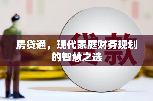 大武房贷通，现代家庭财务规划的智慧之选