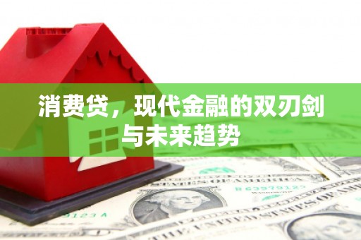 大武消费贷，现代金融的双刃剑与未来趋势
