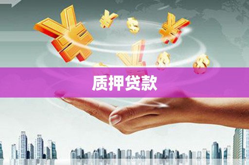 大武质押贷款