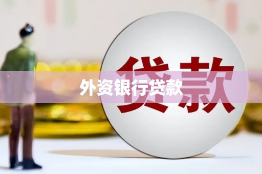 大武外资银行贷款