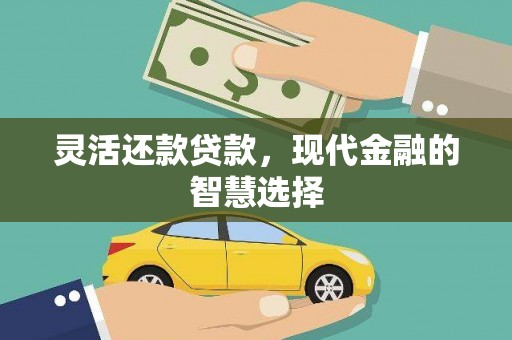 大武灵活还款贷款，现代金融的智慧选择