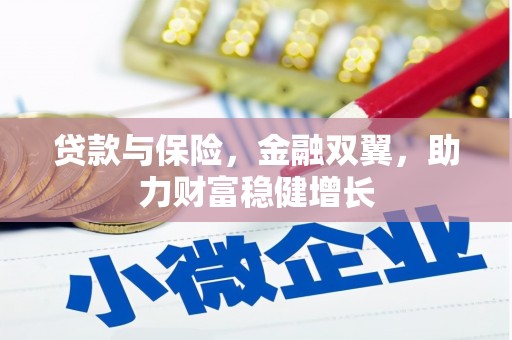 大武贷款与保险，金融双翼，助力财富稳健增长