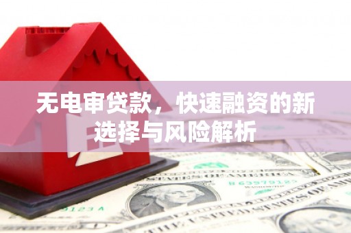 大武无电审贷款，快速融资的新选择与风险解析