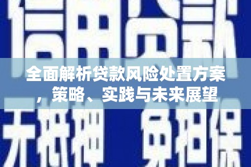 大武全面解析贷款风险处置方案，策略、实践与未来展望