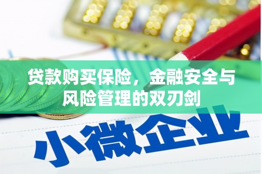 大武贷款购买保险，金融安全与风险管理的双刃剑
