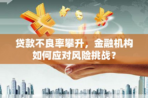 大武贷款不良率攀升，金融机构如何应对风险挑战？