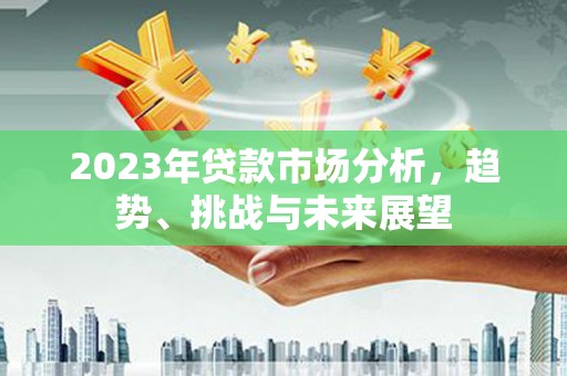 大武2023年贷款市场分析，趋势、挑战与未来展望