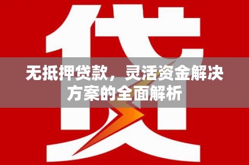 大武无抵押贷款，灵活资金解决方案的全面解析