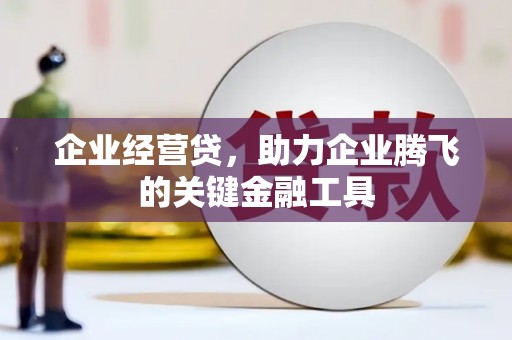 大武企业经营贷，助力企业腾飞的关键金融工具