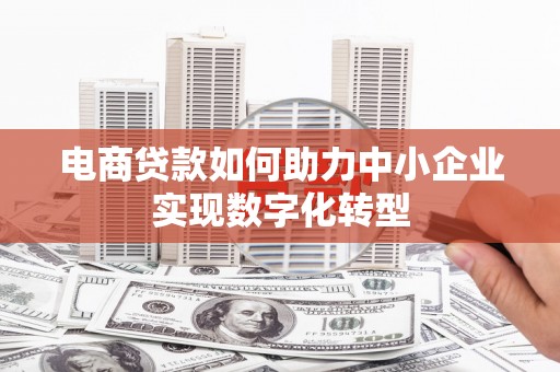 大武电商贷款如何助力中小企业实现数字化转型