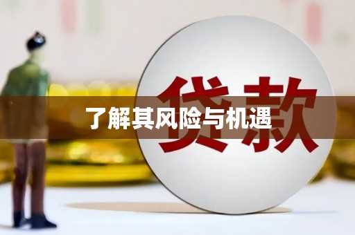 大武了解其风险与机遇