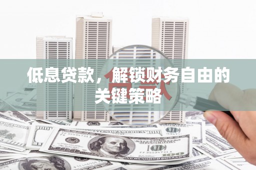 大武低息贷款，解锁财务自由的关键策略
