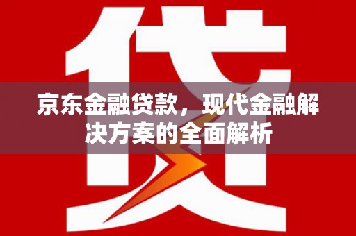 大武京东金融贷款，现代金融解决方案的全面解析