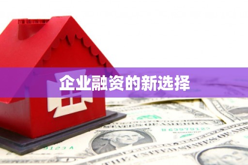 大武企业融资的新选择