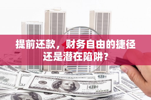 大武提前还款，财务自由的捷径还是潜在陷阱？