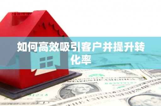 大武如何高效吸引客户并提升转化率