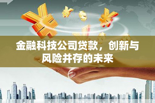 大武金融科技公司贷款，创新与风险并存的未来