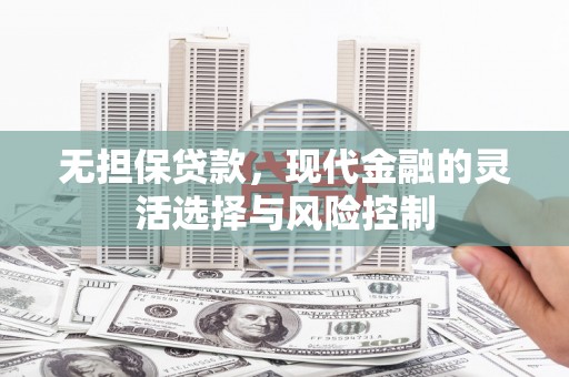 大武无担保贷款，现代金融的灵活选择与风险控制