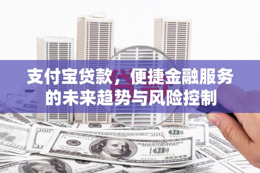 大武支付宝贷款，便捷金融服务的未来趋势与风险控制