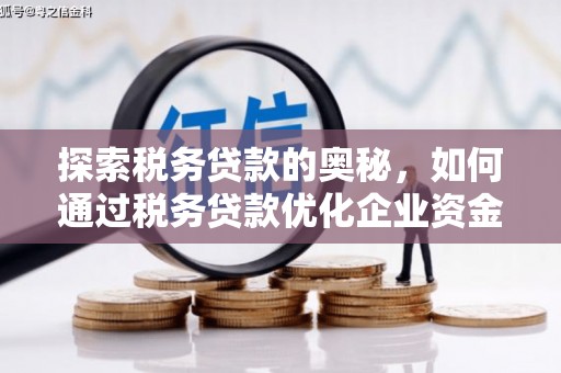 大武探索税务贷款的奥秘，如何通过税务贷款优化企业资金流