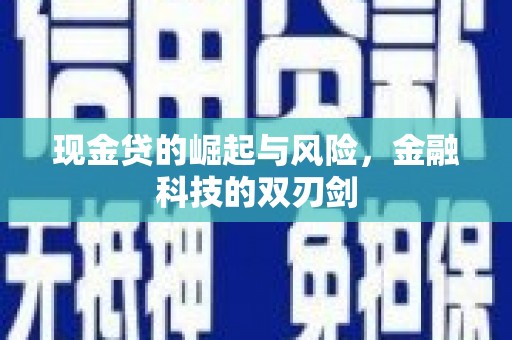 大武现金贷的崛起与风险，金融科技的双刃剑