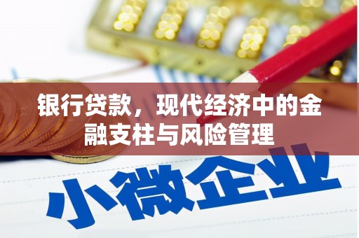大武银行贷款，现代经济中的金融支柱与风险管理