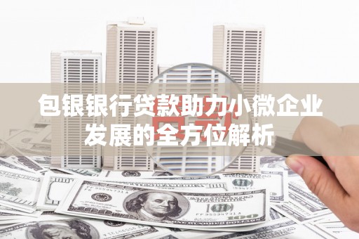 大武包银银行贷款助力小微企业发展的全方位解析 大武包银银行贷款助力小微企业发展的全方位解析