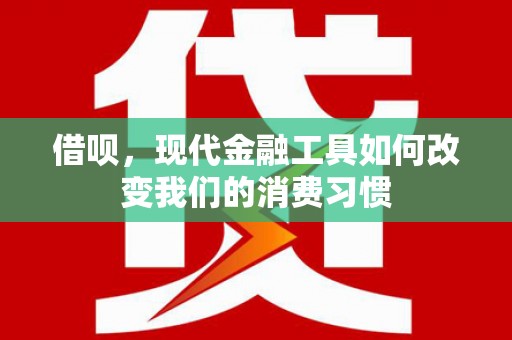 大武借呗，现代金融工具如何改变我们的消费习惯