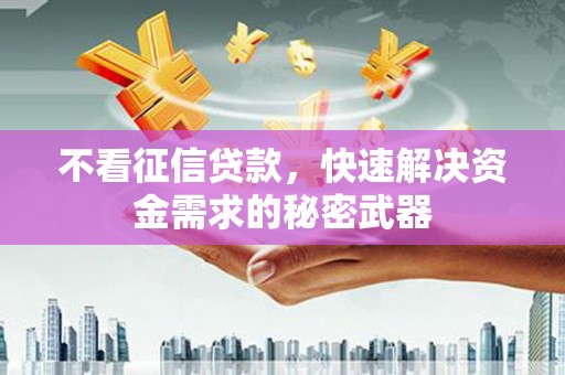 大武不看征信贷款，快速解决资金需求的秘密武器