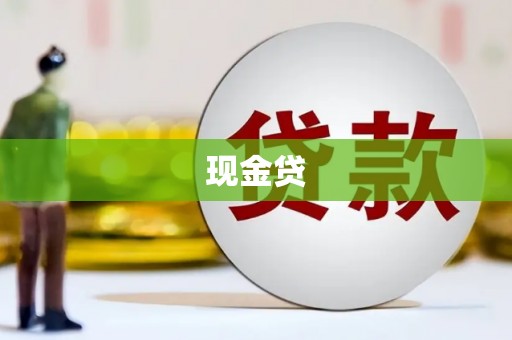 大武现金贷