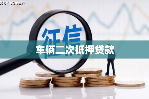 大武车辆二次抵押贷款