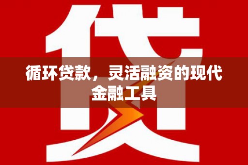 大武循环贷款，灵活融资的现代金融工具