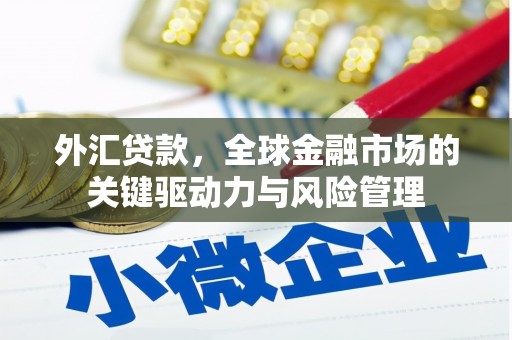 大武外汇贷款，全球金融市场的关键驱动力与风险管理