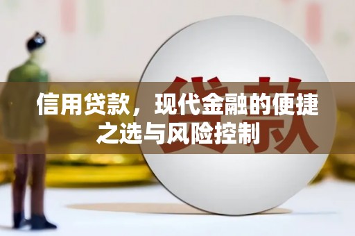 大武信用贷款，现代金融的便捷之选与风险控制
