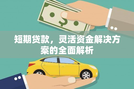 大武短期贷款，灵活资金解决方案的全面解析