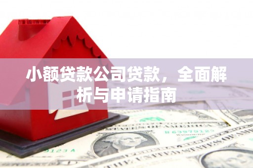 大武小额贷款公司贷款，全面解析与申请指南