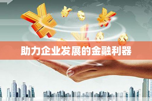 大武助力企业发展的金融利器