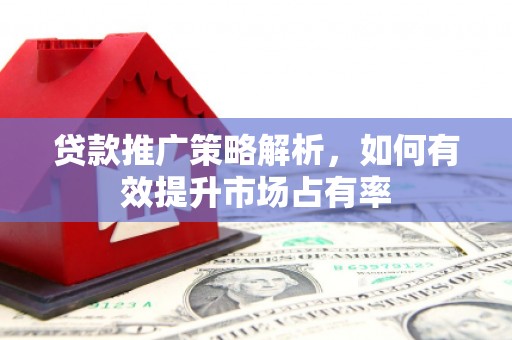 大武贷款推广策略解析，如何有效提升市场占有率