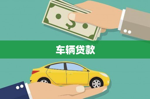 大武车辆贷款